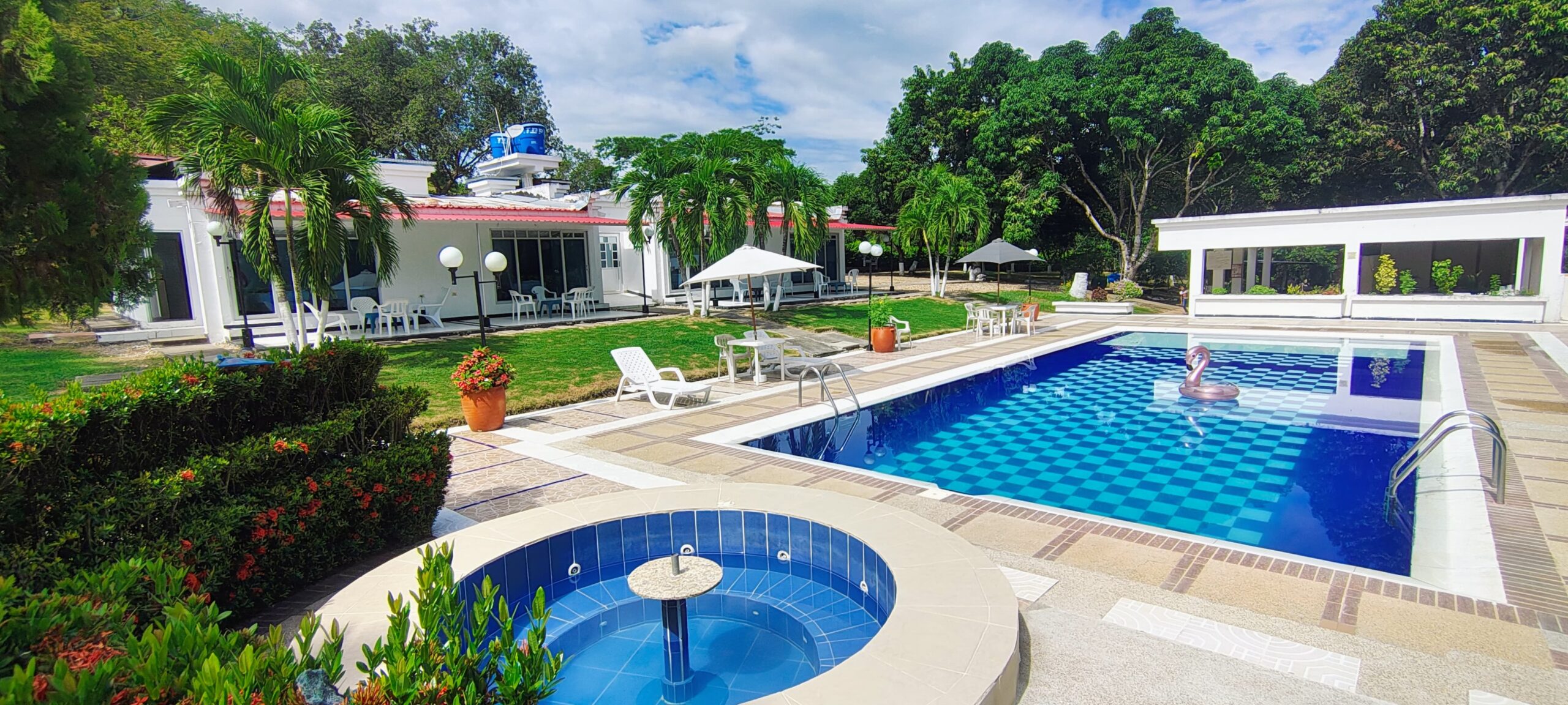 LA PALMITA 1 LA PALMITA 1