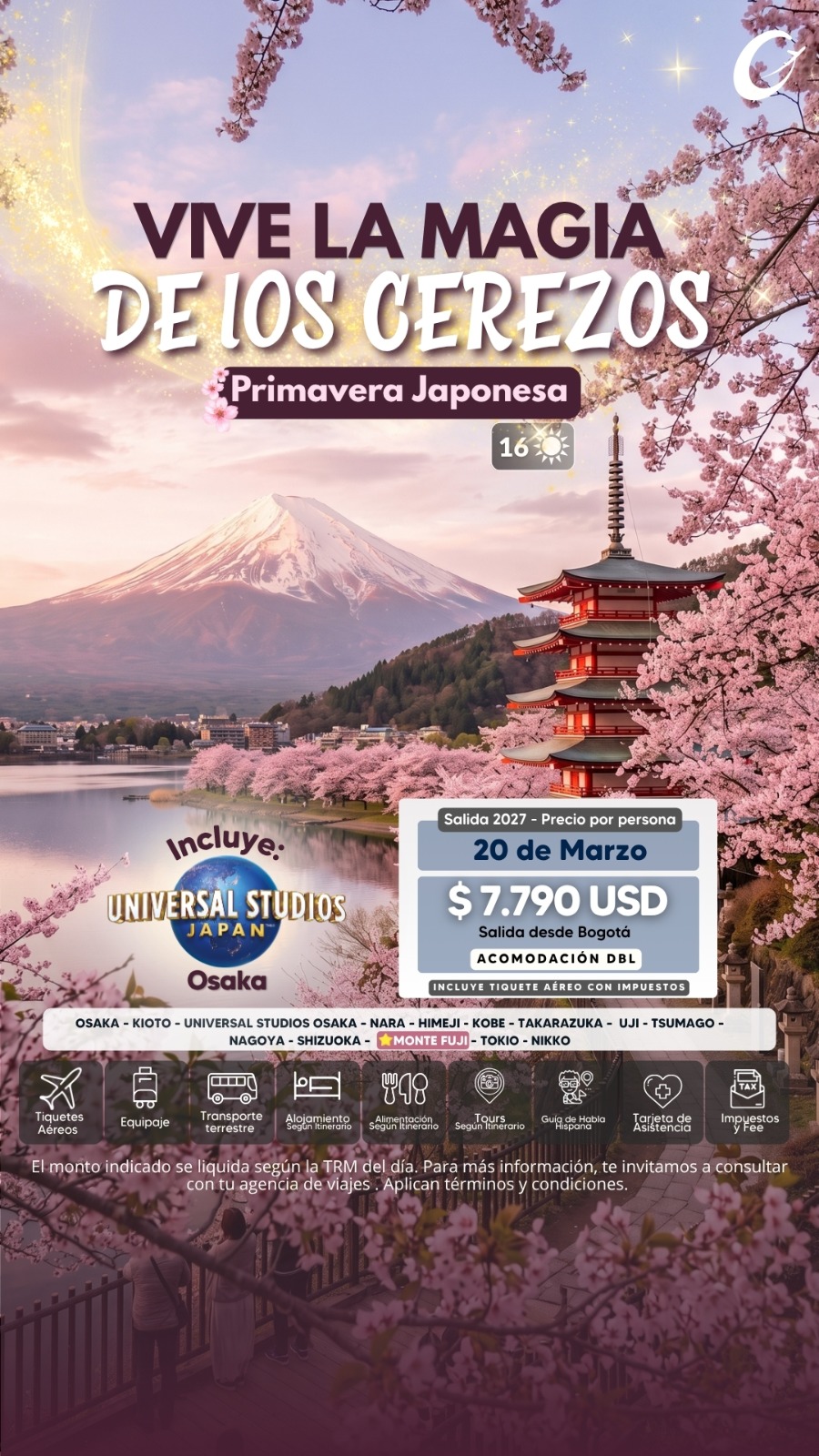 JAPON GENTE MAYORISTA