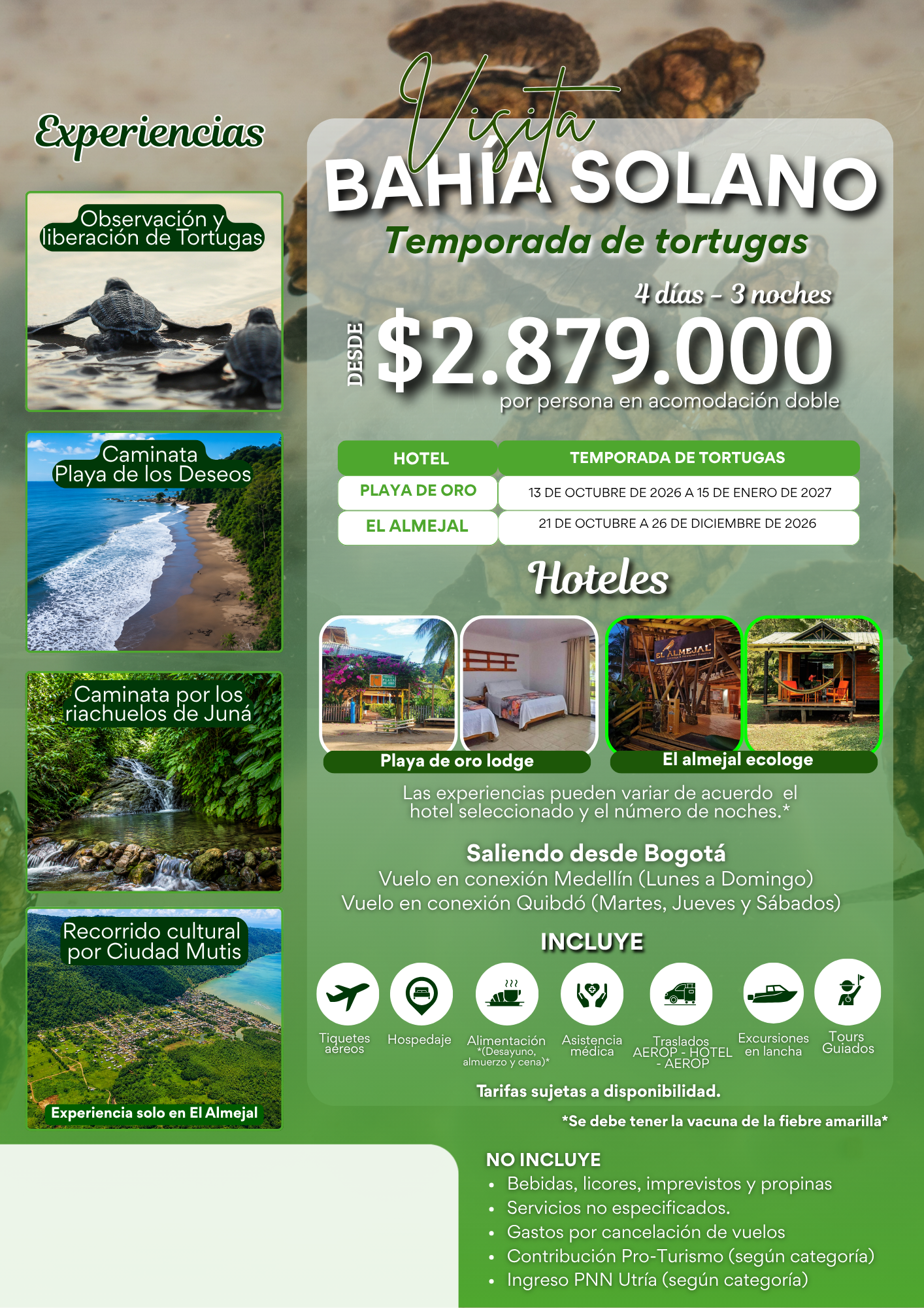 Bahía Solano Tortugas