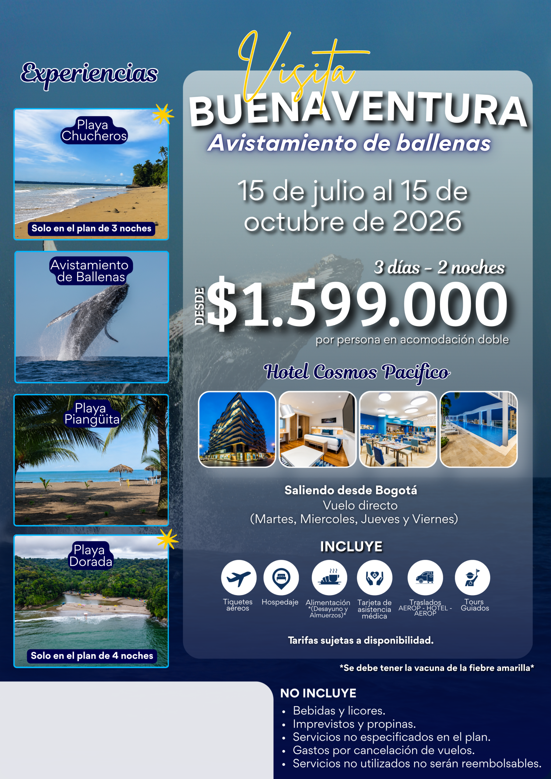 Buenaventura Avistamiento de ballenas