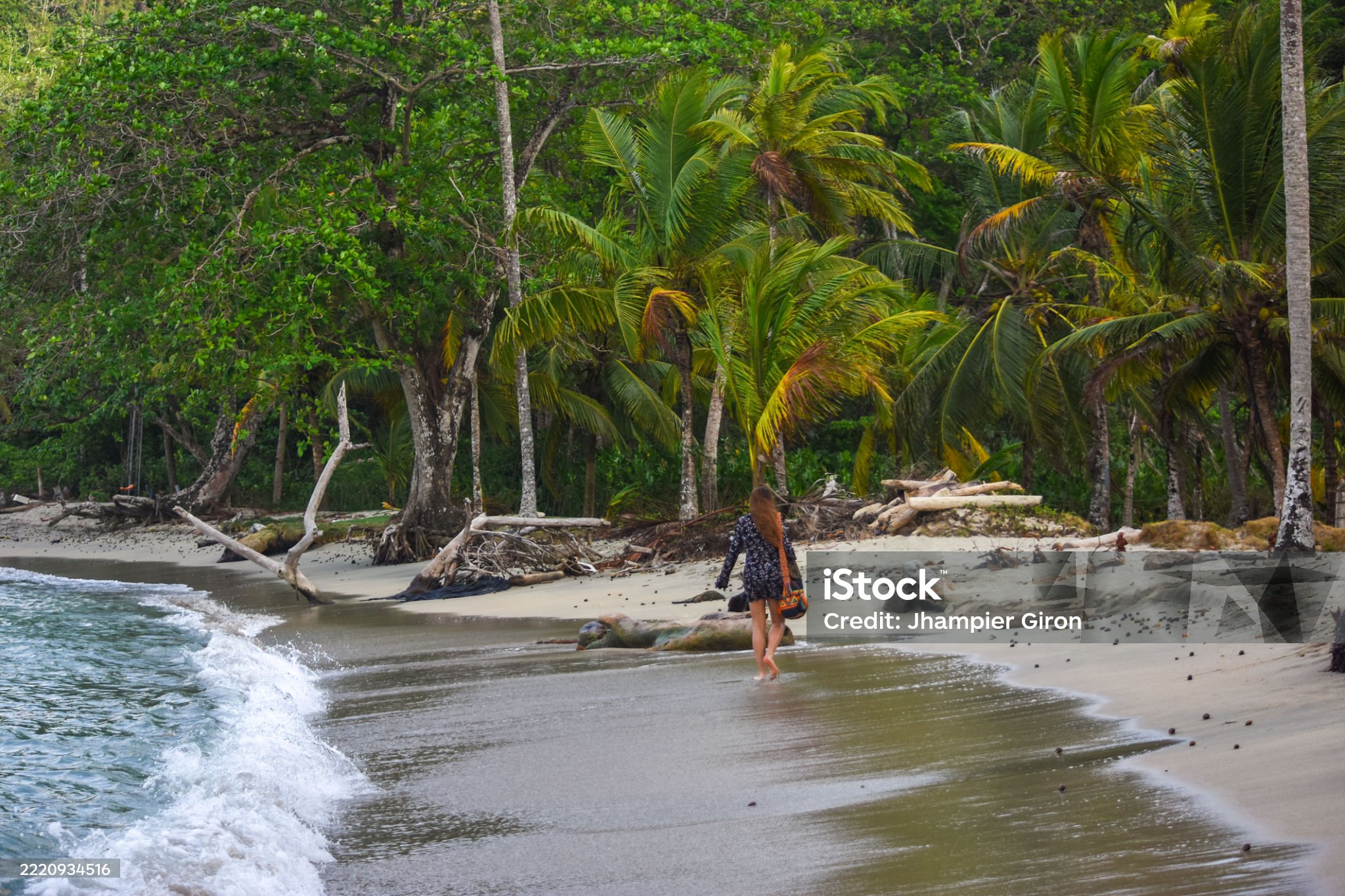 A serene scene of a woman walking along the beach in Sapzurro, Choco, Colombia, surrounded by lush palm trees and gentle waves.